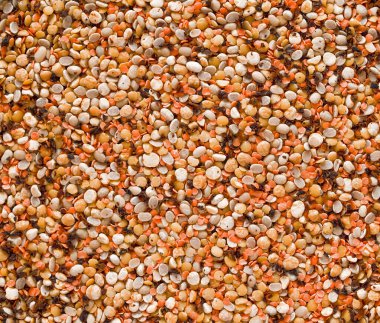 Various dried legumes background. Lentils bean pea chickpea top view clipart