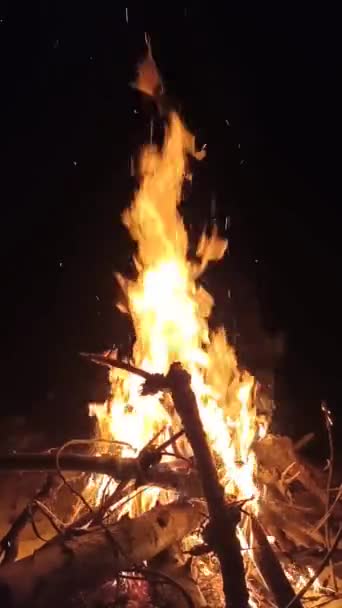 キャンプファイヤーの炎と火花の垂直ビデオ ナイトボンファイア ログが燃えている 火花が暗い空を飛ぶ — ストック動画