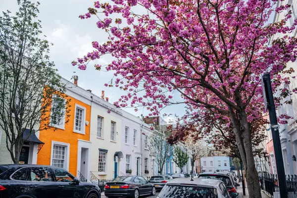 Essência Primavera Notting Hill Londres Com Flores Cereja Rosa Exuberantes Fotos De Bancos De Imagens