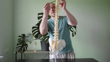 İnsan omurgasının anatomik modelini tutan bir fizyoterapist, eğitim amaçlı omurgayı ve omuriliği vurguluyor.