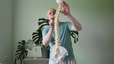 Bir fizyoterapist insan omurgasının anatomik modelini tutuyor, boyun ve boyun omurgasını vurguluyor.