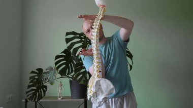 İnsan omurgasının anatomik modelini tutan bir fizyoterapist, torasik omurga ve kifozu vurguluyor.
