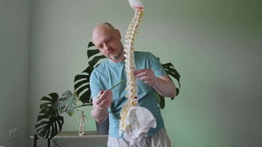 İnsan omurgasının anatomik modelini tutan bir fizyoterapist, omurga ve lordozu vurguluyor.