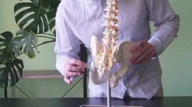 Bir tıp uzmanı, sakroiliak eklemin anatomisini ve işlevini açıklamak için omurga modeli kullanır.