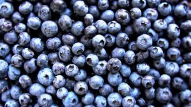 Taze yaban mersinlerinin yuvarlanıp hareket ettiğini gösteren yüksek çözünürlüklü bir video. Taze üretim, sağlıklı yeme ve yiyecek görselleri için ideal.