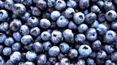 Taze yaban mersinlerinin yuvarlanıp hareket ettiğini gösteren yüksek çözünürlüklü bir video. Taze üretim, sağlıklı yeme ve yiyecek görselleri için ideal.