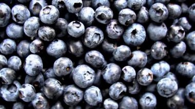 Taze yaban mersinlerinin yuvarlanıp hareket ettiğini gösteren yüksek çözünürlüklü bir video. Taze üretim, sağlıklı yeme ve yiyecek görselleri için ideal.