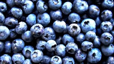 Taze yaban mersinlerinin yuvarlanıp hareket ettiğini gösteren yüksek çözünürlüklü bir video. Taze üretim, sağlıklı yeme ve yiyecek görselleri için ideal.