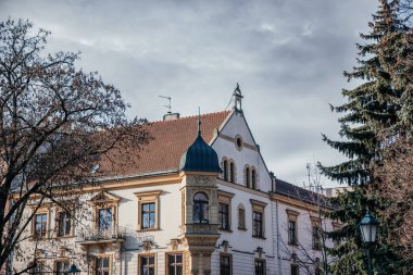Çıplak ağaçlar ve bulutlu gökyüzü ile çevrili tarihi bir Avrupa binası, Krakov 'un eski kasabasının cazibesini yakalıyor.