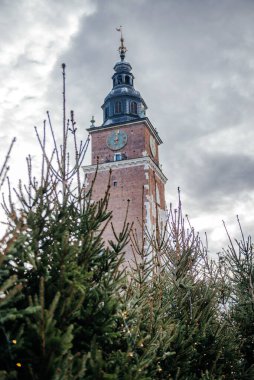 A historic clock tower in Krakow Old Town framed by Christmas trees with festive lights, capturing the charm of the holiday season and European heritage clipart