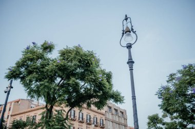 Antika bir sokak lambası İtalya 'nın Palermo kentindeki tarihi ve modern binalara karşı mor çiçekli yemyeşil ağaçların arasında dimdik duruyor.