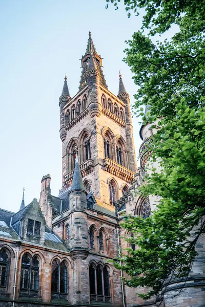 Glasgow Üniversitesi 'nin Gotik tarzı kulesi açık gökyüzü altındaki yeşil ağaç dalları tarafından çerçevelenmiş, tarih, mimari ve eğitim temaları için ideal.