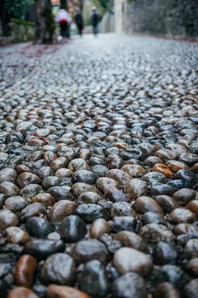 Arka planda insanların yürüdüğü, tarihi yollar, dokular veya eski Avrupa kasabalarını gösteren ıslak bir kaldırım taşı sokağının yakın çekimi