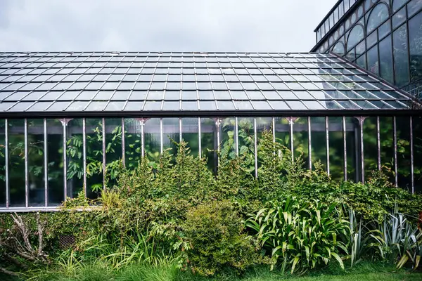 Glasgow Botanik Bahçeleri 'nin dış yüzeyi. Tırmanma tesisleri ve yoğun yeşillik yapıyı çevreleyen, botanik mimari ve bitki çeşitliliğini gösteren.