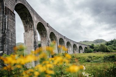 İskoçya İskoçya 'daki Glenfinnan Viaduct, Harry Potter filmlerinden tanınır, ön planda sarı kır çiçekleri ve yukarıda dramatik bulutlu gökyüzü ile yakalanır.
