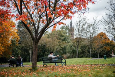 İnsanlar, Kelvingrove Park, Glasgow 'daki sonbahar ağaçlarının altındaki banklarda renkli yapraklarla ve arka planda bir kilise kulesiyle oturuyorlar.