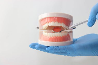 Mavi eldivenli dişçi modeli