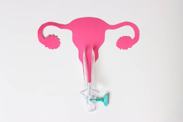Pink uterus cutout with medical speculum