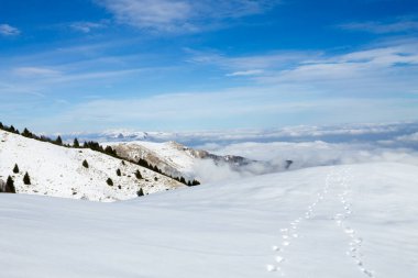 Alplerden gelen karlı kış manzarası. Grappa Dağı kış görünümü