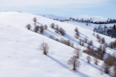 Alplerden gelen karlı kış manzarası. Cesen Dağı kış manzarası