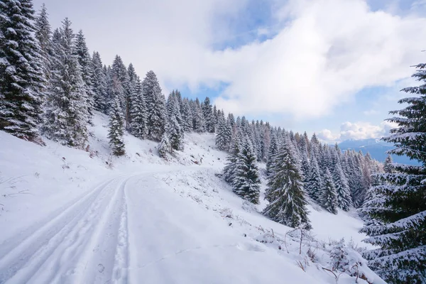 Paesaggio Invernale Con Neve Dalle Alpi Asia Montana Italia — Foto Stock