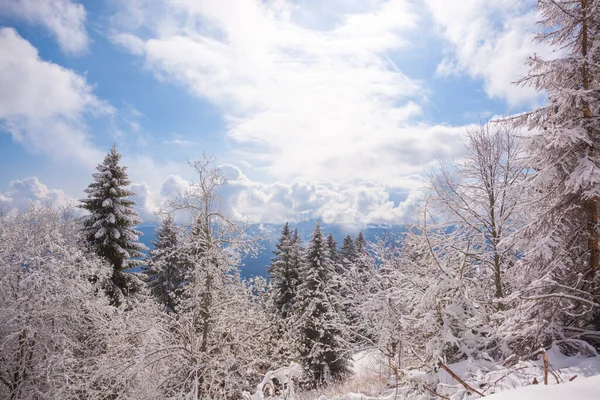 Winter Landscape Snow Alps Asiago Upland Italy — Foto de Stock