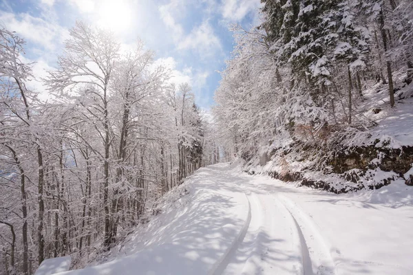 Winter Landscape Snow Alps Asiago Upland Italy — Foto de Stock