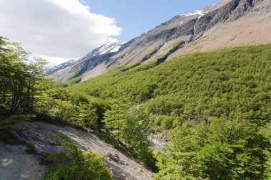 Ascencio Vadisi iz, Torres del Paine Milli Parkı, Şili hiking. Şili Patagonya manzara