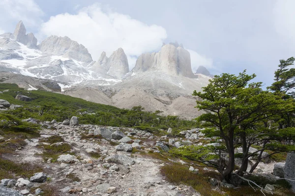 Franskt Dallandskap Torres Del Paine Nationalpark Chile Cuernos Del Paine — Stockfoto