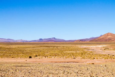Bolivya Dağları manzarası, Bolivya. And Platosu manzarası.