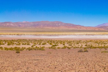 Bolivya Dağları manzarası, Bolivya. And Platosu manzarası.