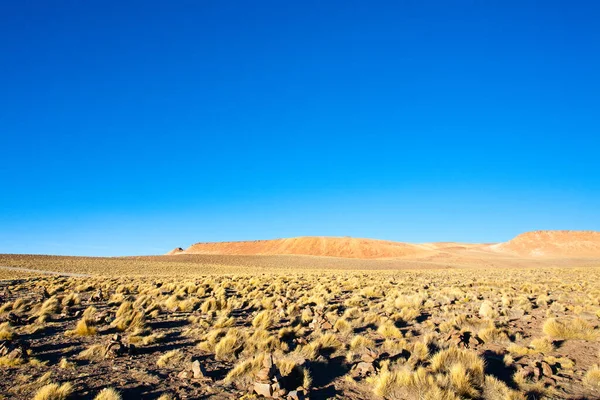 Болівійський Пейзаж Вигляд Лагуни Морежон Болівія Andes Plateau — стокове фото