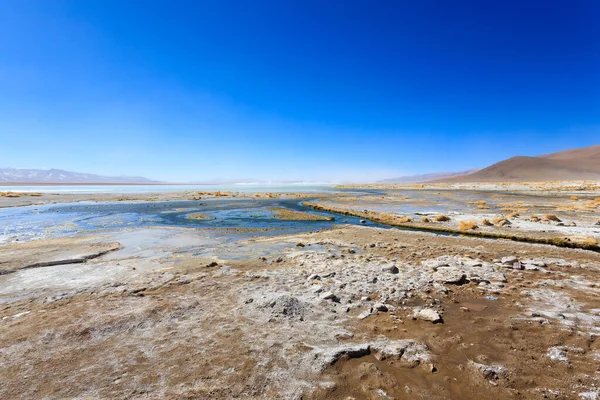 Paisagem Lagoa Boliviana Bolívia Vista Planalto Andino — Fotografia de Stock