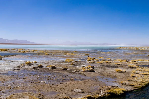 Paisagem Lagoa Boliviana Bolívia Vista Planalto Andino — Fotografia de Stock