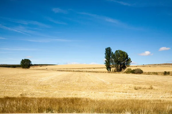 Krajobraz Wiejski Kastylii Leonu Hiszpania Panorama Pól Hiszpańskich — Zdjęcie stockowe