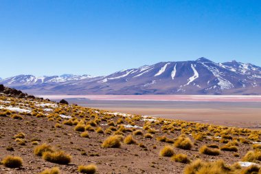 Laguna Colorada manzarası, Bolivya. Güzel bir Bolivya panoraması. Kırmızı su gölü