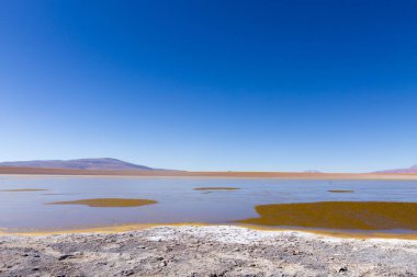 Bolivya lagün manzarası, Bolivya. Kollpa Kkota göl manzarası. Collpa Laguna