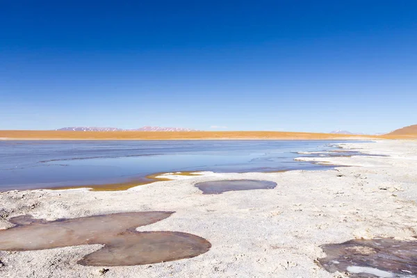 Bolivya Lagün Manzarası Bolivya Kollpa Kkota Göl Manzarası Collpa Laguna — Stok fotoğraf