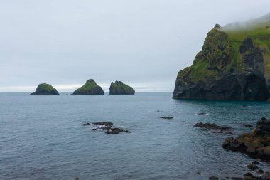 Fil şekilli kaya, Vestmannaeyjar Adası Sahili, İzlanda. Vestmann Adaları