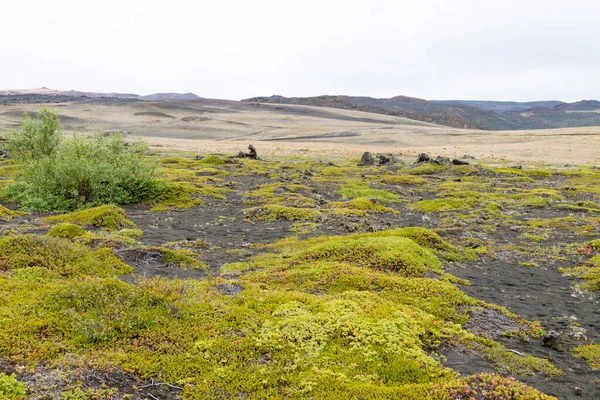 Hverfell火山附近的冰岛景观 Hverfjall 冰岛地标 — 图库照片