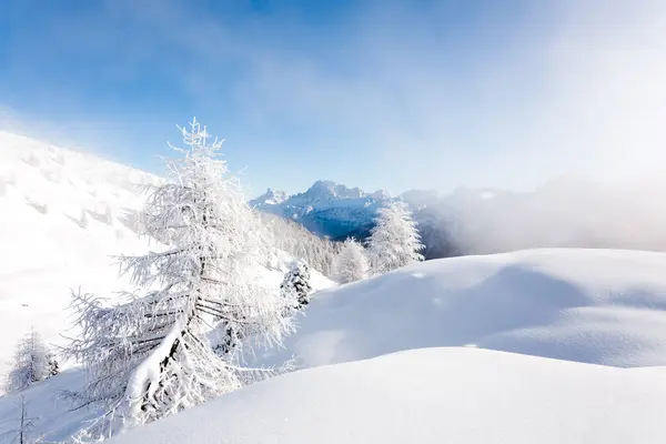 Paisagem Alpina Nevada Alpes Italianos Belo Panorama Inverno — Fotografia de Stock