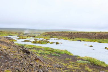 Godafoss yaz sezonunda İzlanda 'ya düşer. İzlanda manzarası.