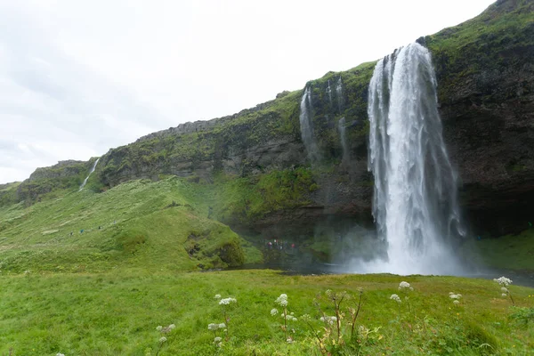 Seljalandsfoss Spada Sezonie Letnim Islandia Krajobraz Islandii — Zdjęcie stockowe