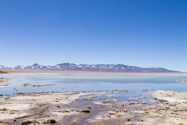 Bolivian Lagoon Landscape Aguas Termales Polques Bolivia — Stock Photo, Image