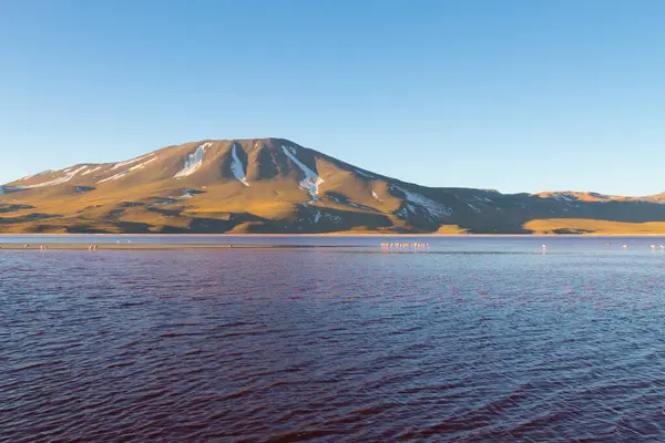 Krajina Laguna Colorada Bolívie Krásné Bolivijské Panorama Laguna Rudá Voda — Stock fotografie
