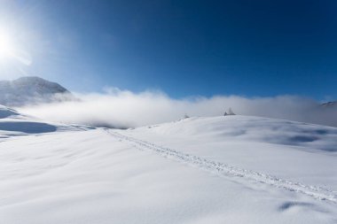 Karlı dağ manzarası. İtalyan Alpleri Güzel kış manzarası