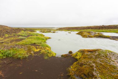Godafoss yaz sezonunda İzlanda 'ya düşer. İzlanda manzarası.