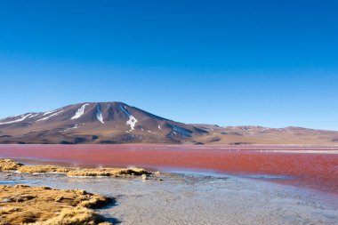 Laguna Colorada manzarası, Bolivya. Güzel bir Bolivya panoraması. Kırmızı su gölü