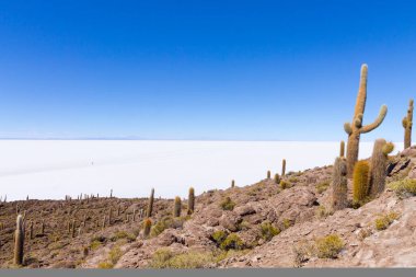 Bolivya 'nın İncahuasi adasından Salar de Uyuni manzarası. Dünyadaki en büyük tuz düzlüğü. Bolivya manzarası