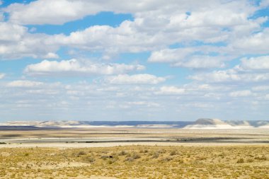 Gora Bokty kaya oluşumu, Mangystau çölü manzarası, Kazakistan. Mangystau Panoraması